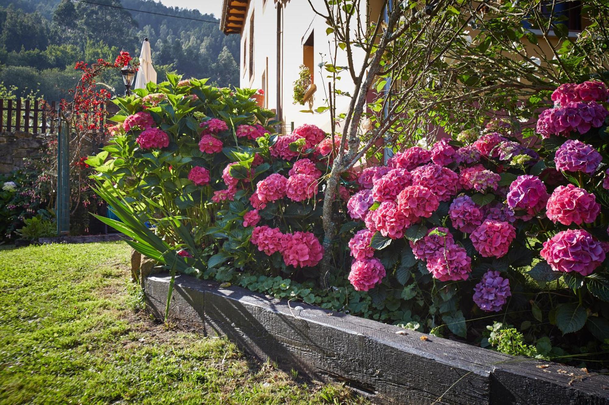Casa Rural Casa Capion Villaviciosa  Dış mekan fotoğraf